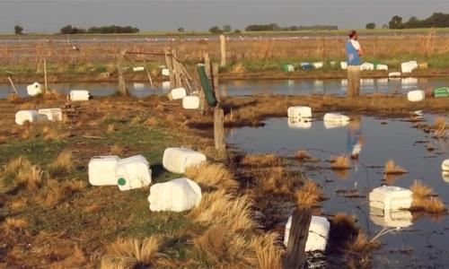 1000 bidones de agroquímicos flotan en un pueblo de La Pampa