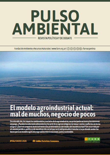 Pulso Ambiental 13